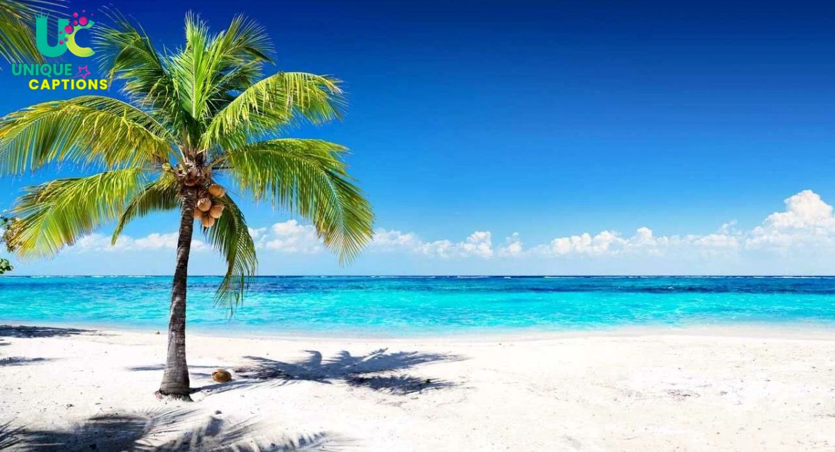 Best Beach Instagram Captions