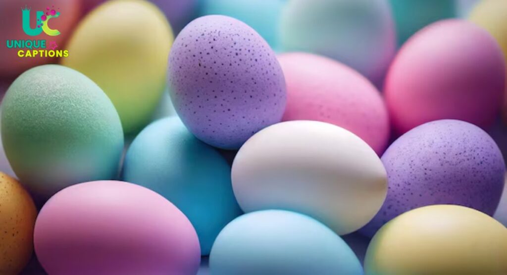 colorful eggs
