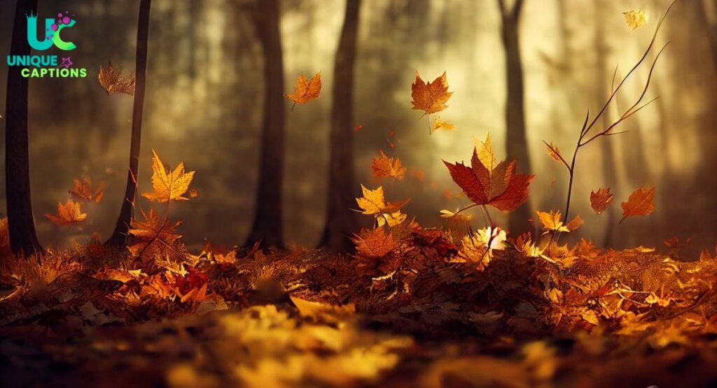 Fall Instagram Posts