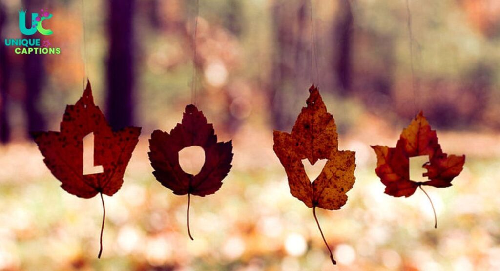 Love Filled Autumn