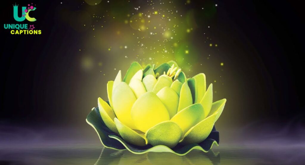 Motivational Flower Captions