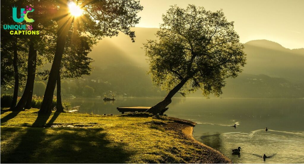 Simple Nature Captions