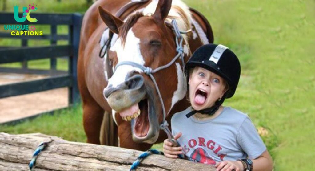 trending funny captions