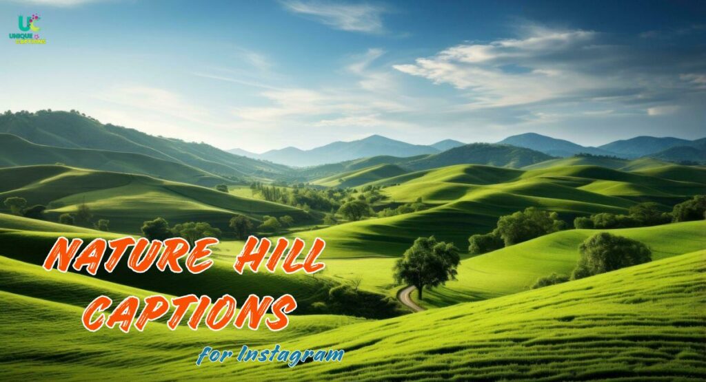 Nature Hill Captions for Instagram