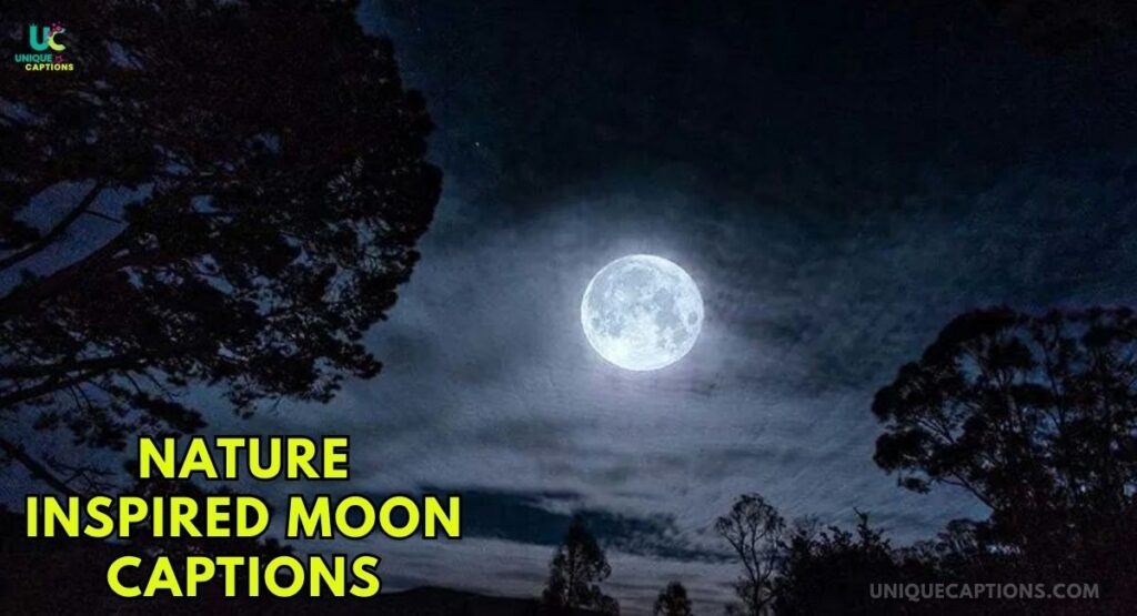 Moon Captions