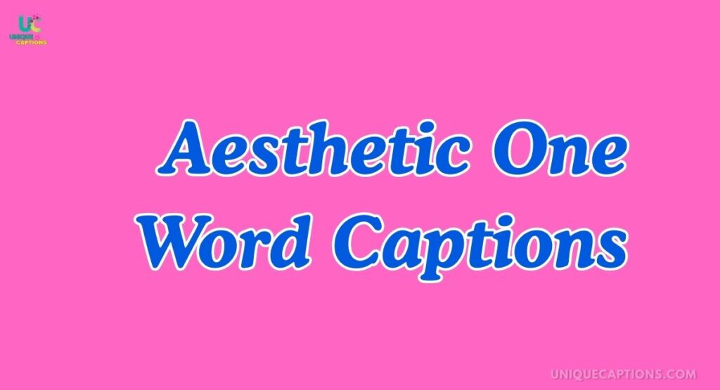 Aesthetic One Word Captions