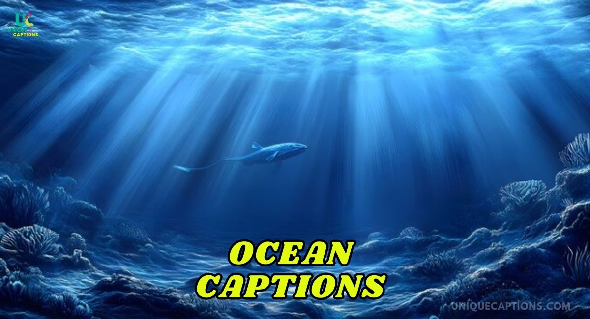 Ocean Captions