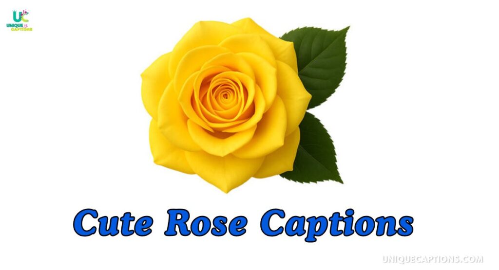 Cute Rose Captions