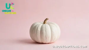 Single white pumpkin on a soft pastel background