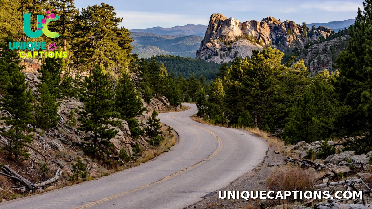 Black Hills road leading to Mount Rushmore