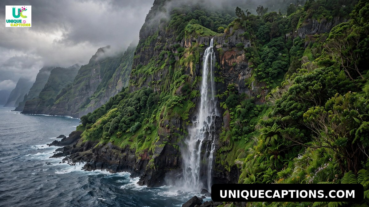 Lush Madeira island cliffs with a waterfall falling into the ocean