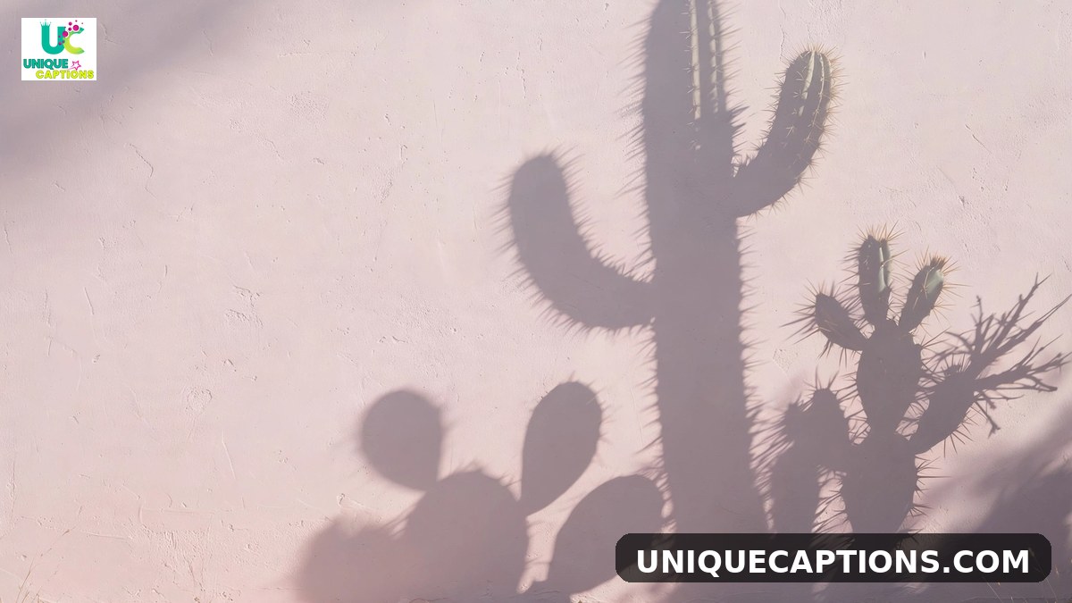 Tucson Arizona captions - giant saguaro cacti in the Sonoran Desert at golden hour