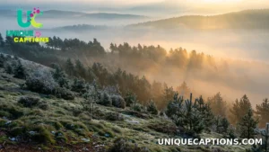 Misty hillside at sunrise with layered pine tree ridges fading into soft fog